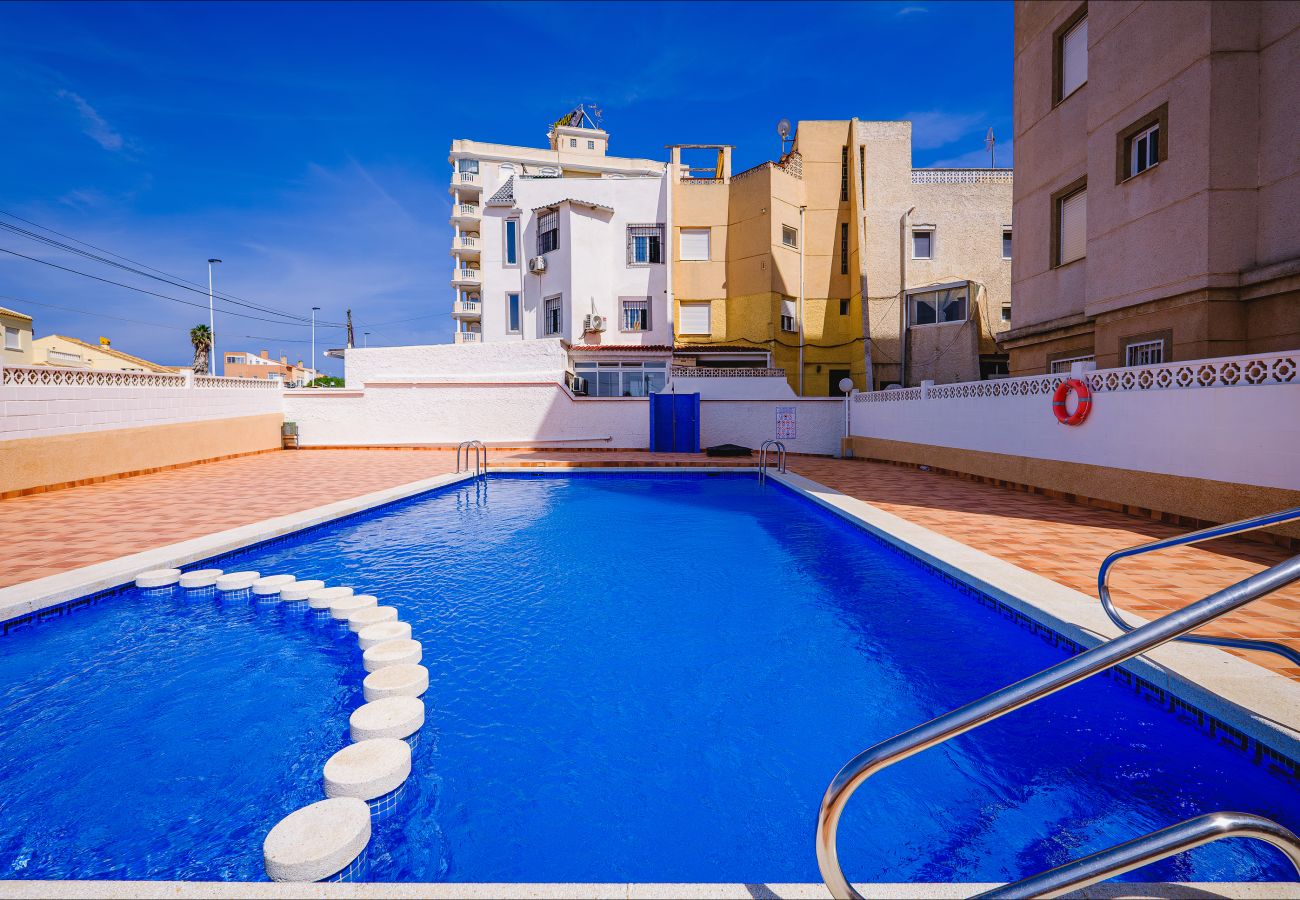 Apartment in Torrevieja - ID164