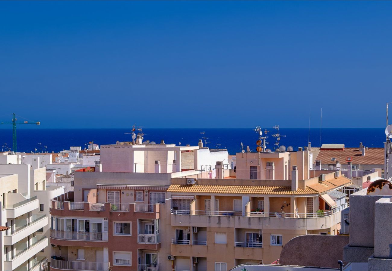 Apartment in Torrevieja - ID85