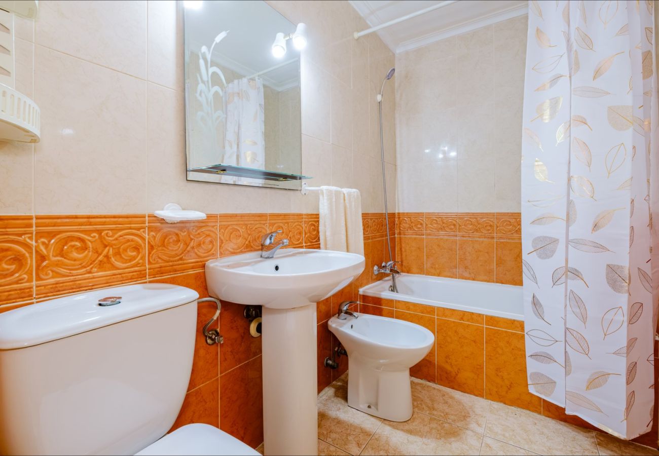 Apartment in Torrevieja - ID182