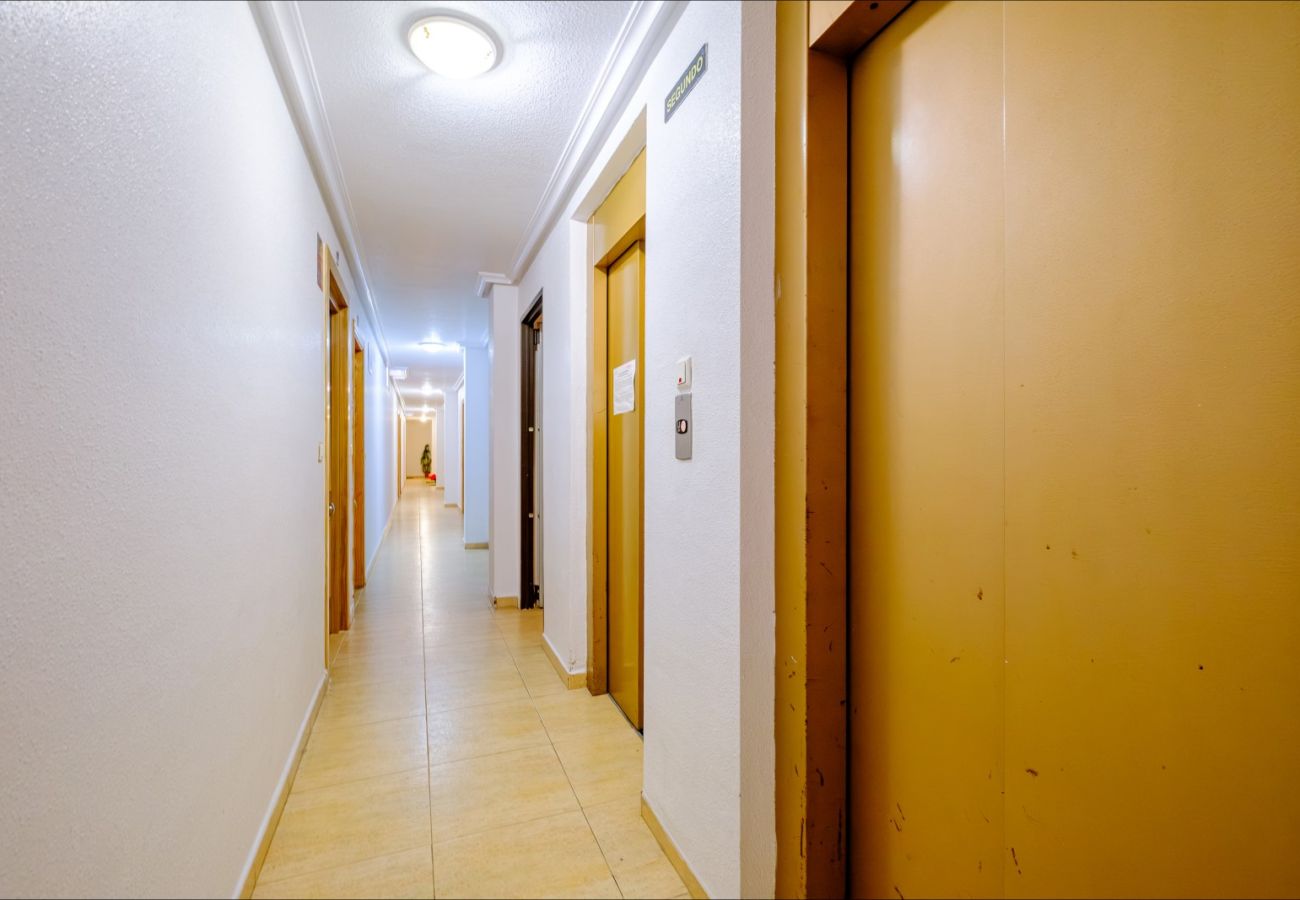 Apartment in Torrevieja - ID182