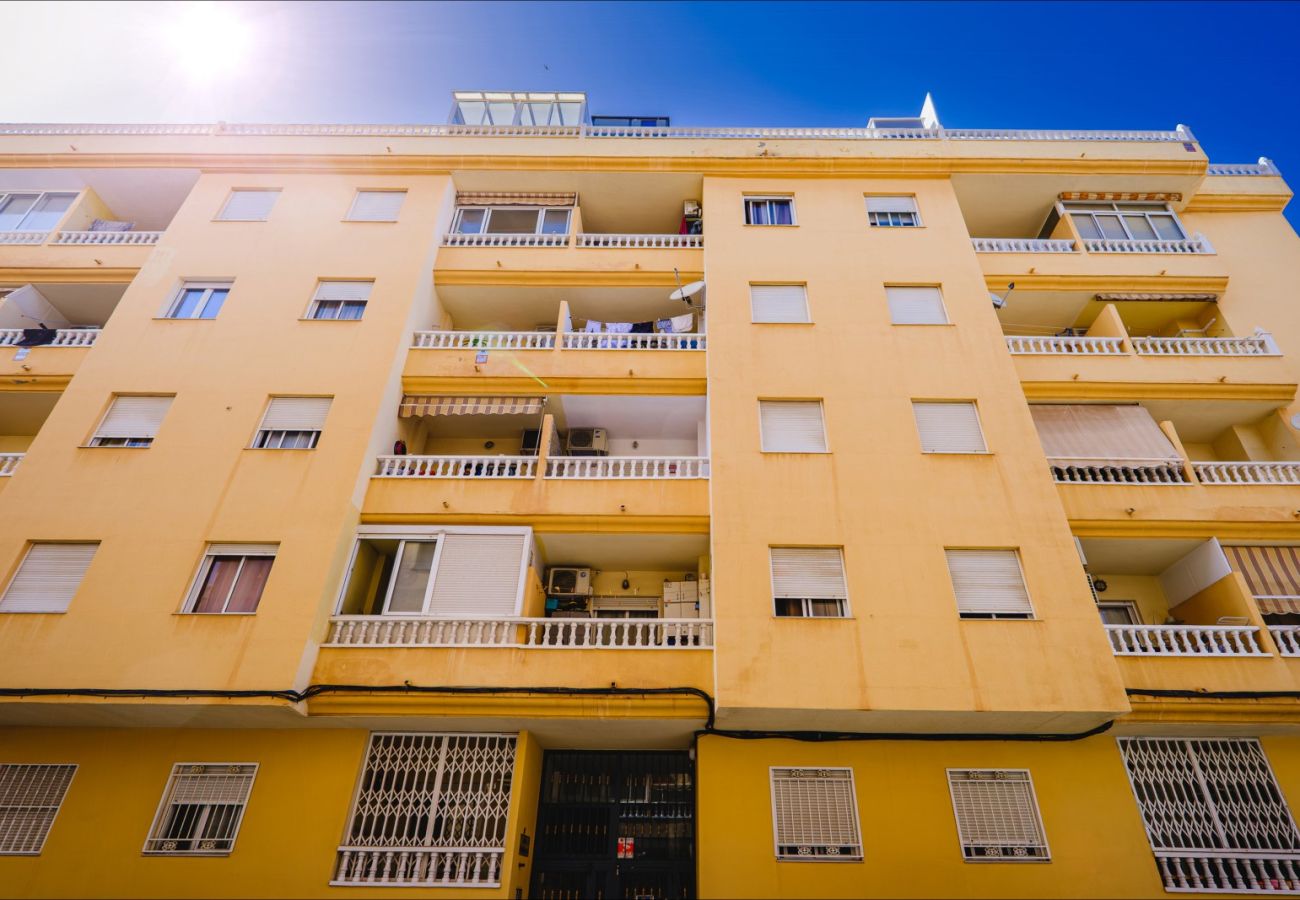 Apartment in Torrevieja - ID182