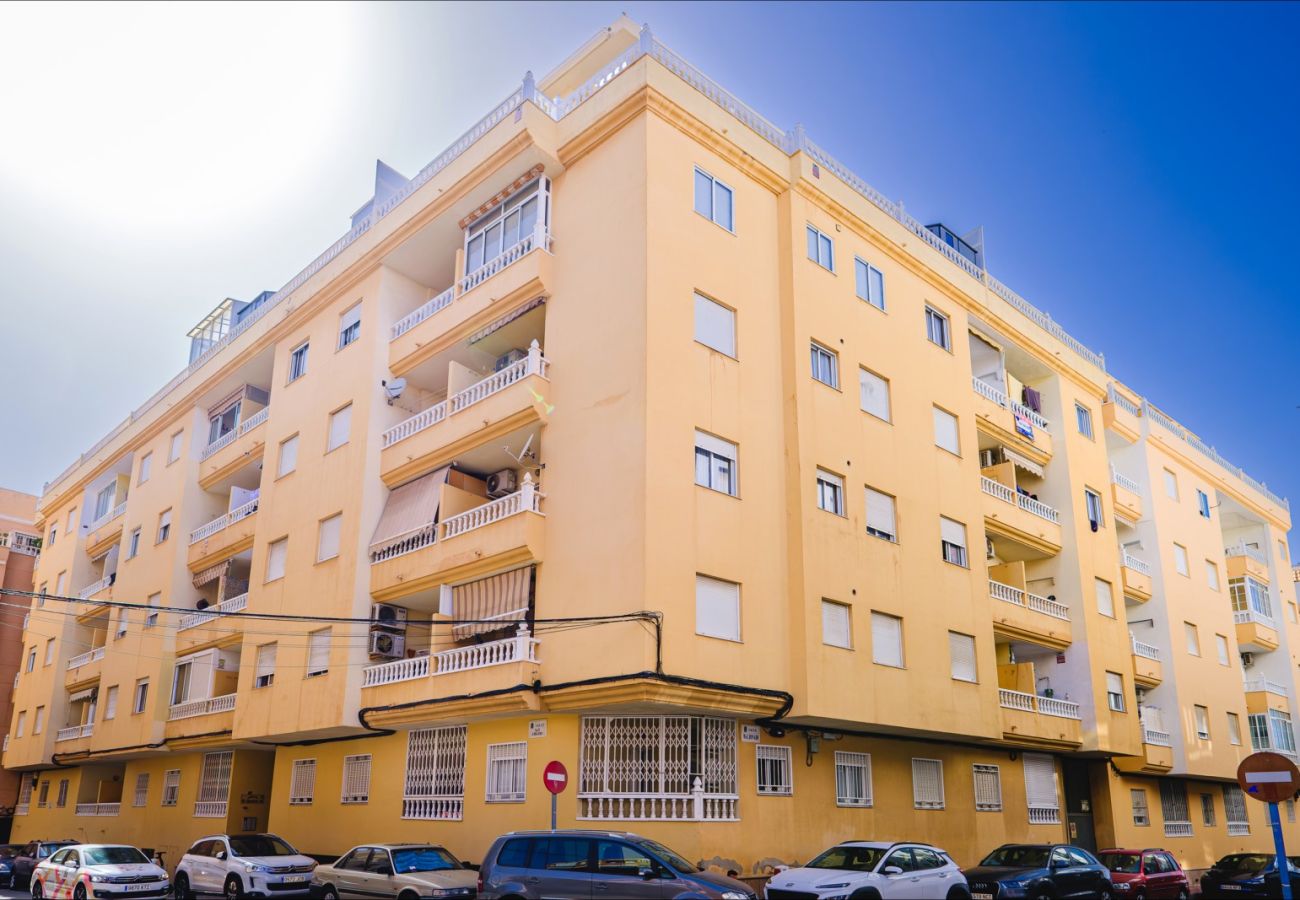 Apartment in Torrevieja - ID182