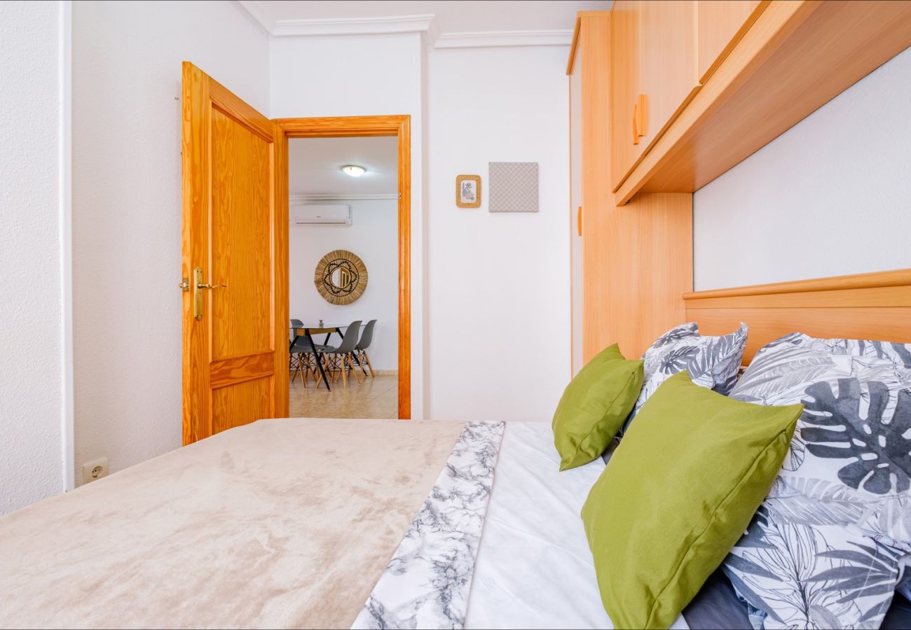 Apartment in Torrevieja - ID182