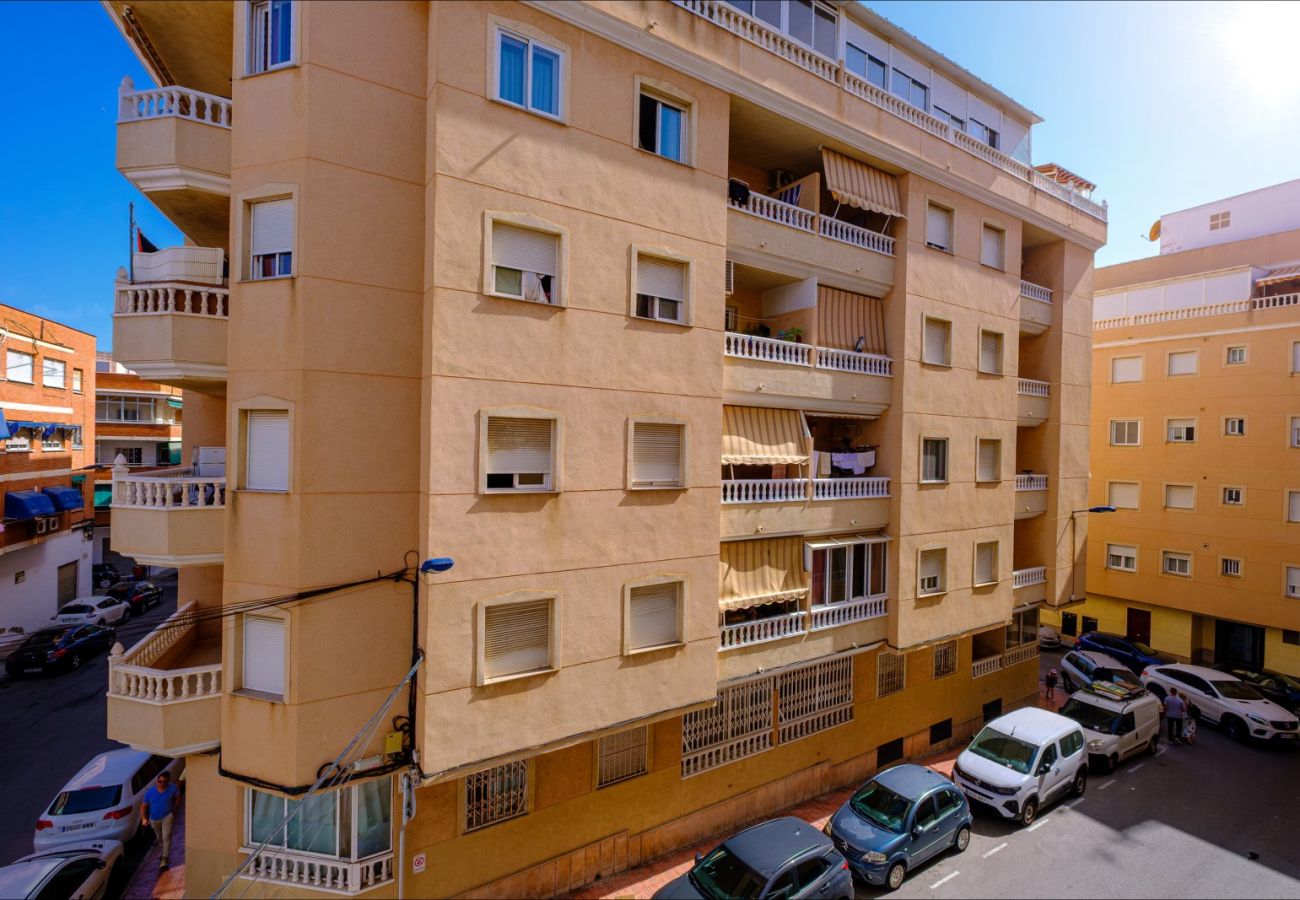 Apartment in Torrevieja - ID182
