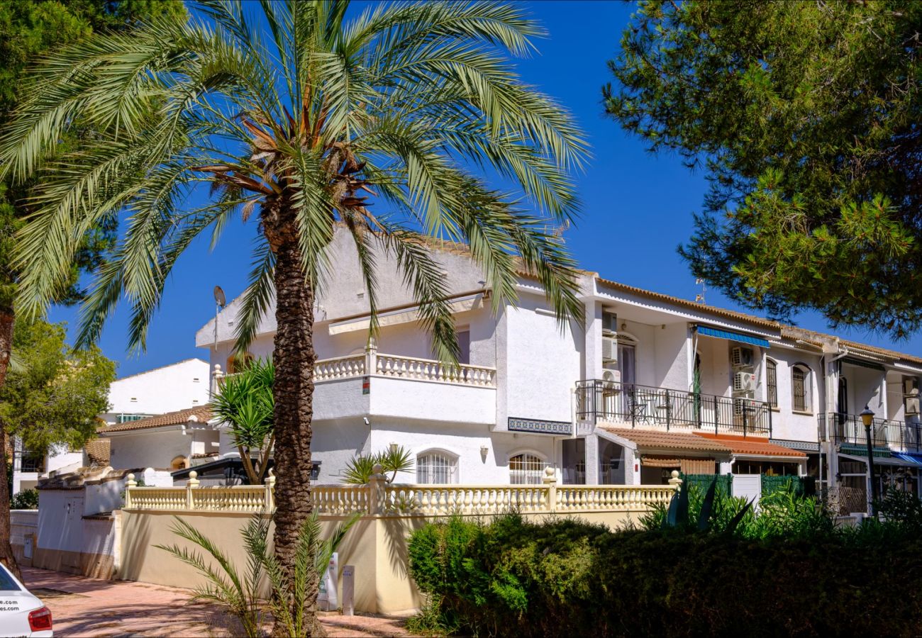 Bungalow in La Zenia - ID83