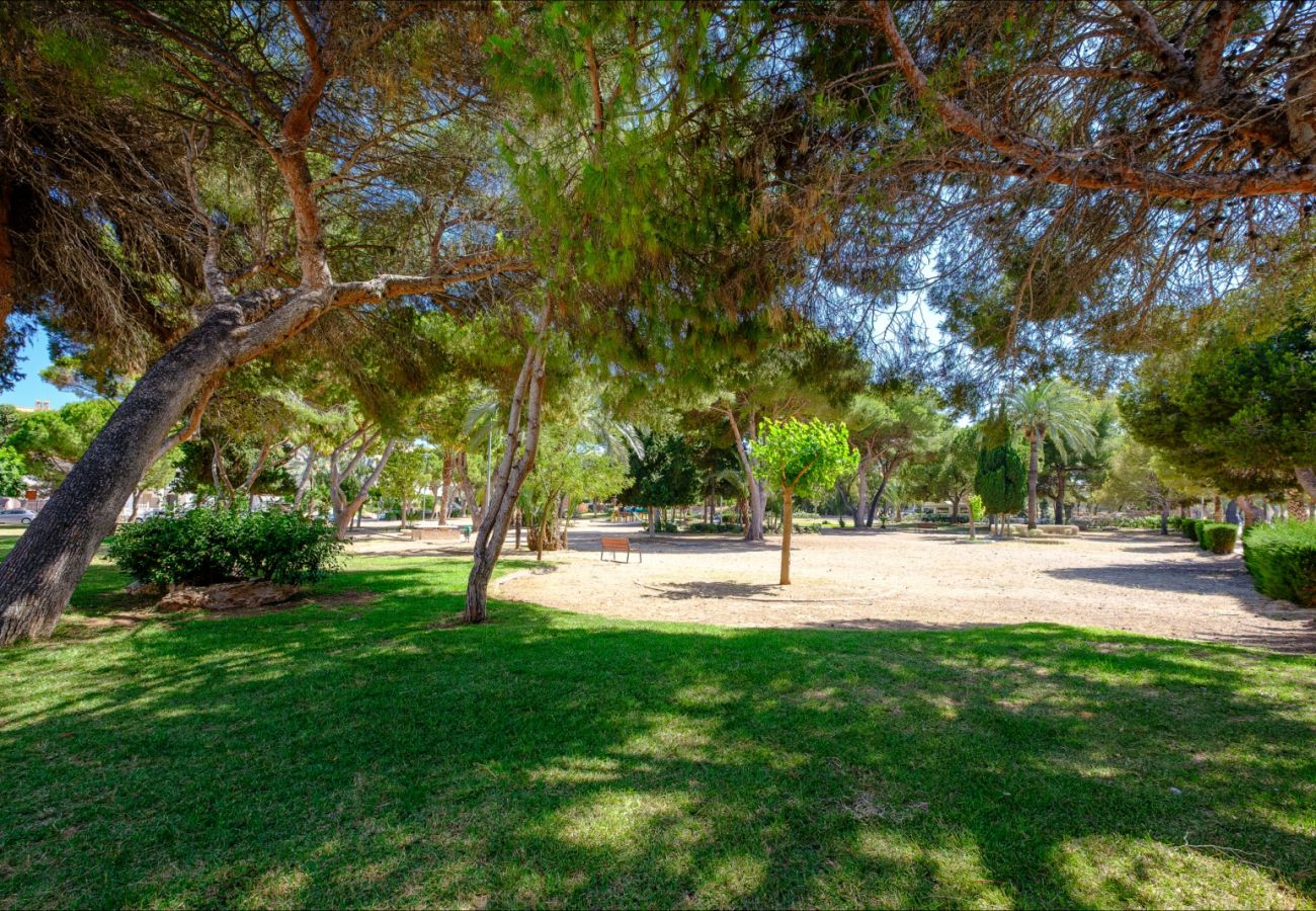 Bungalow in La Zenia - ID83