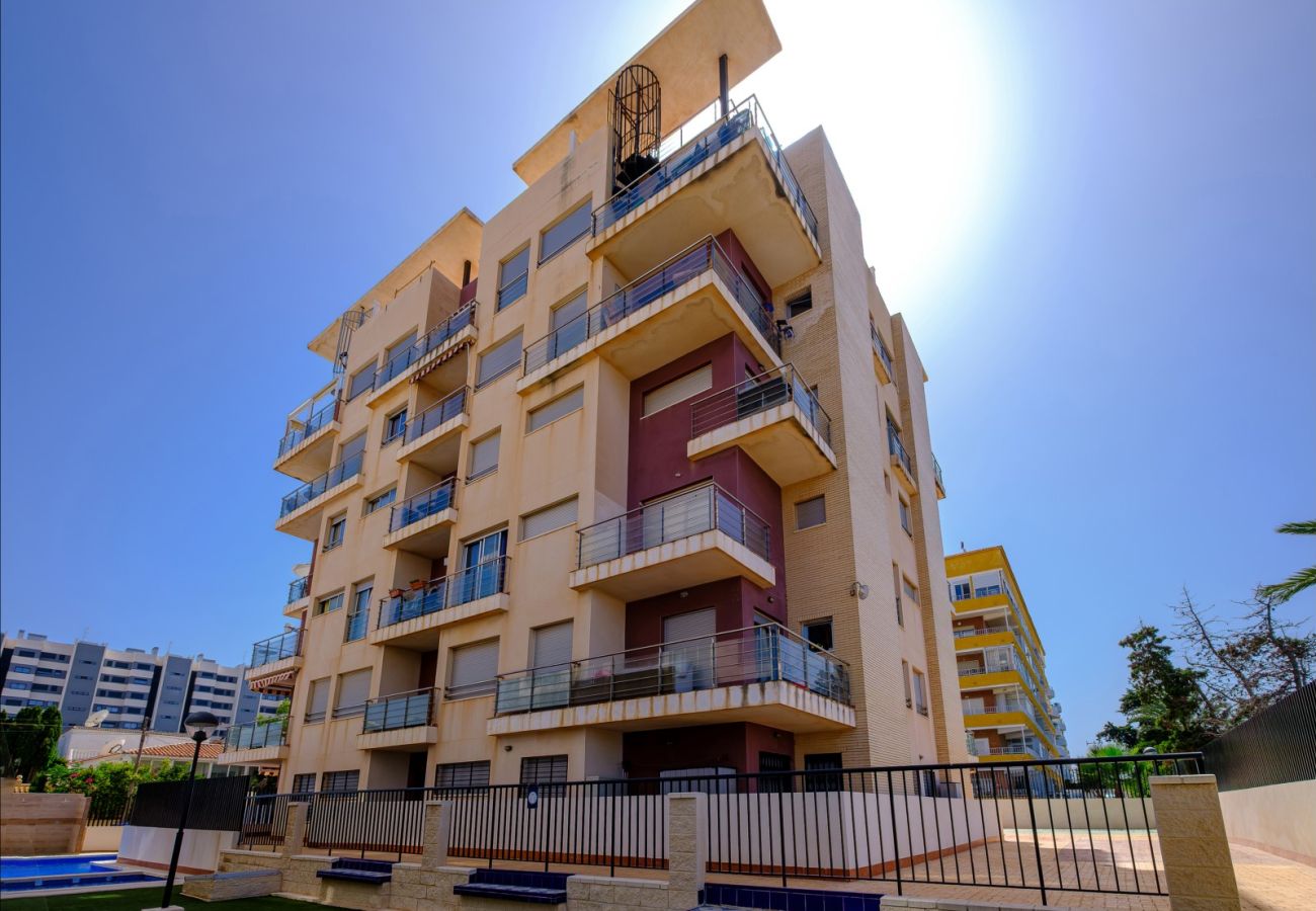Apartment in Torrevieja - ID78
