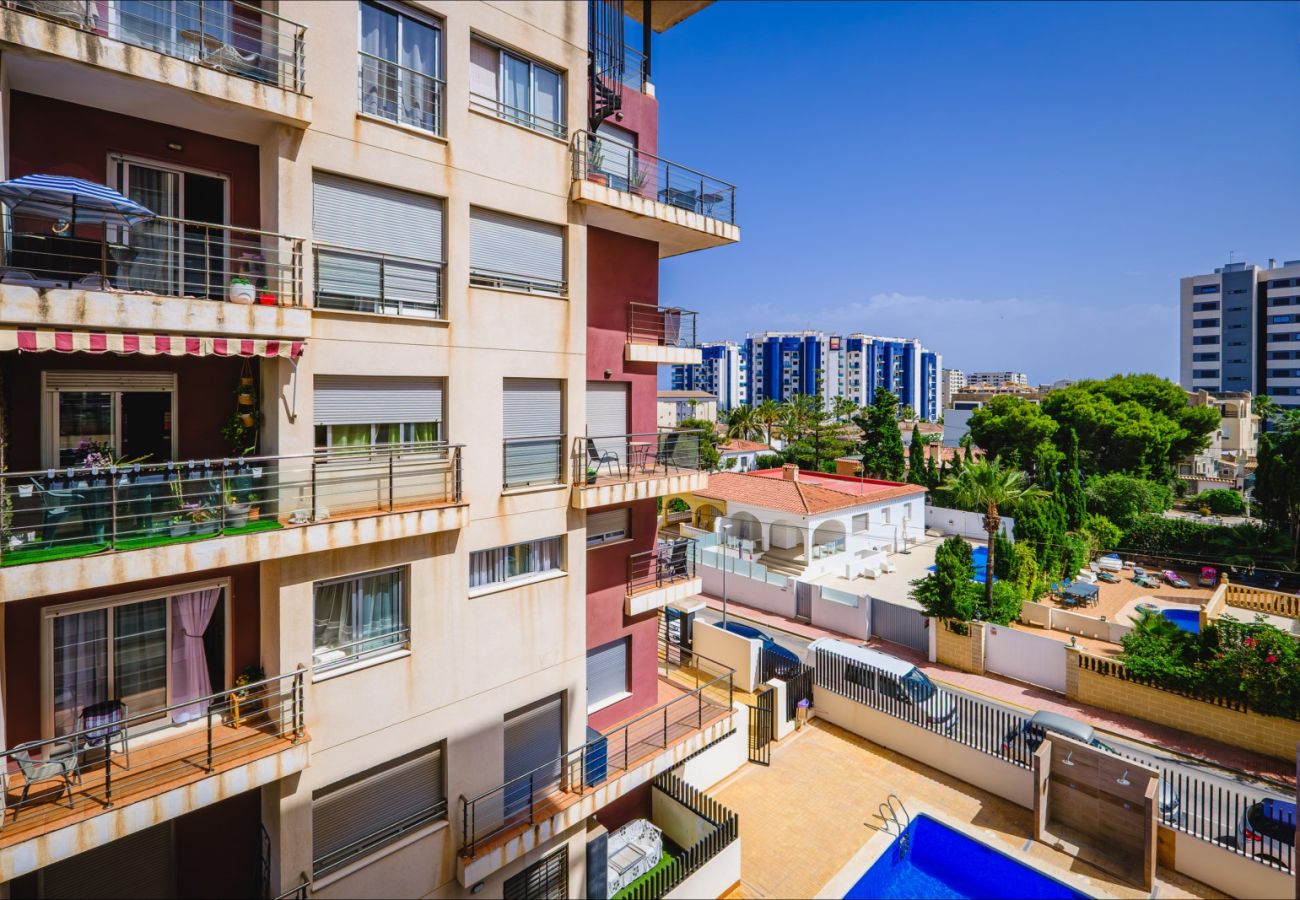 Apartment in Torrevieja - ID78