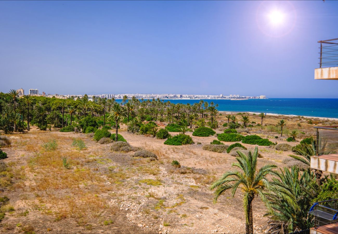 Apartment in Torrevieja - ID78