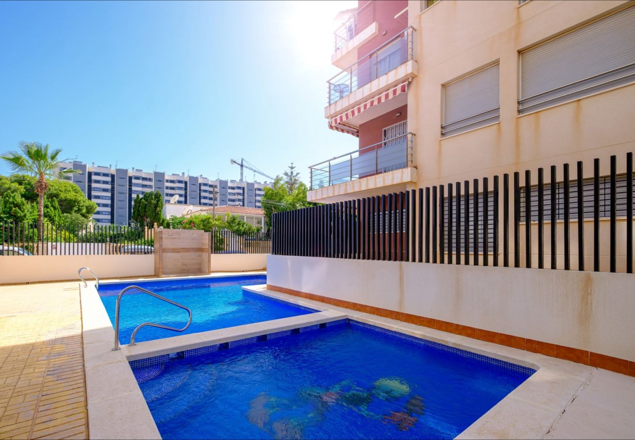 Apartment in Torrevieja - ID78