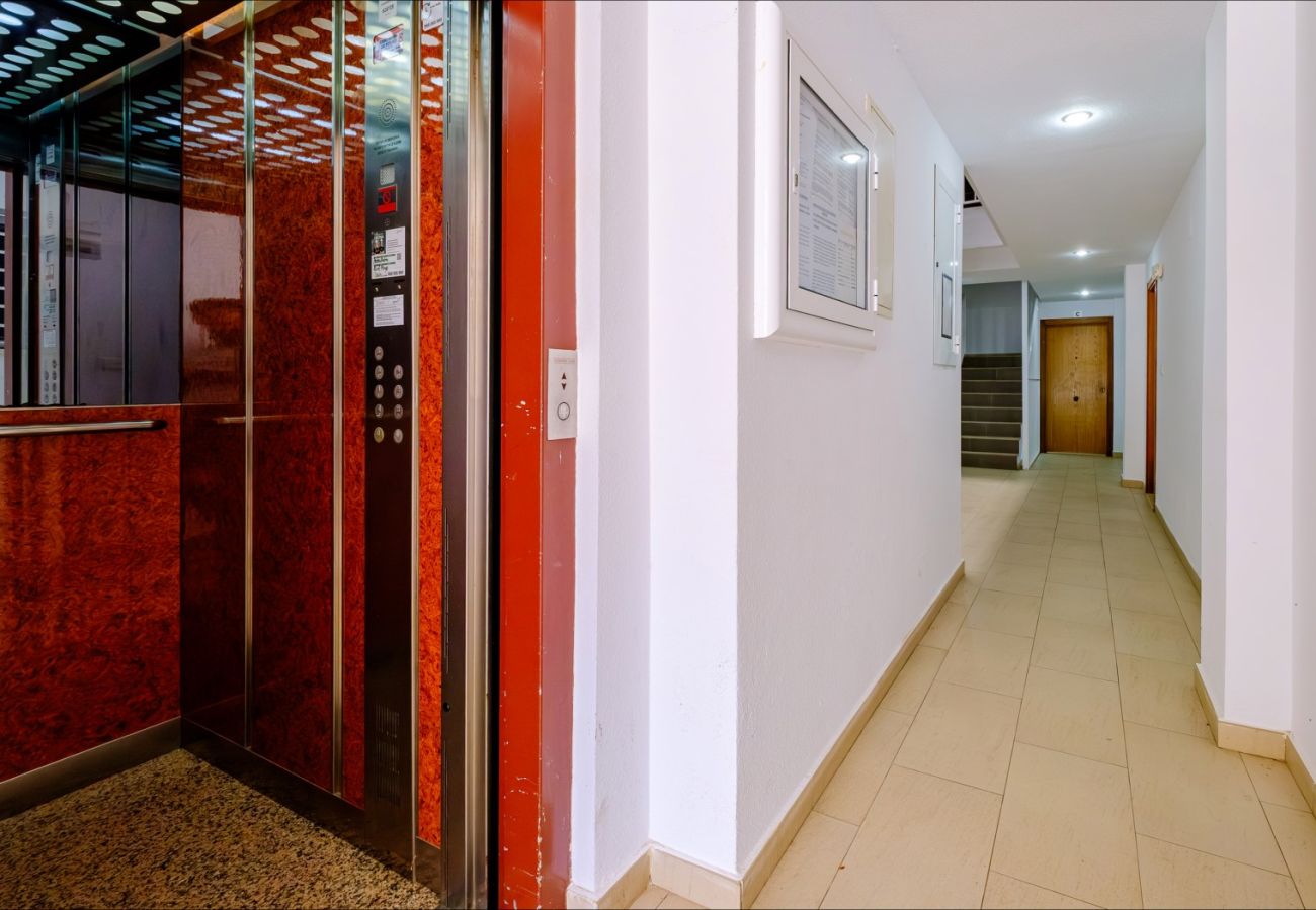 Apartment in Torrevieja - ID78