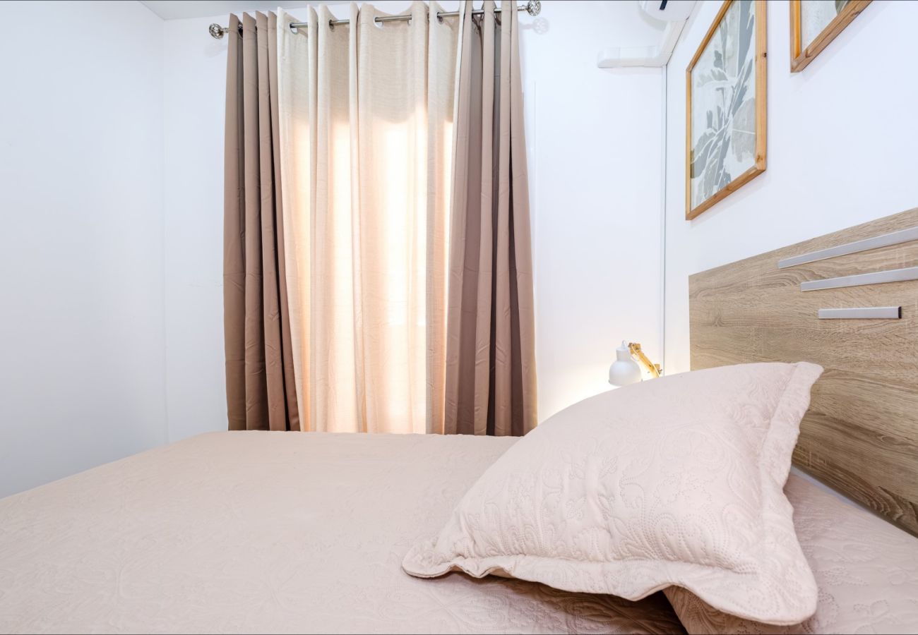 Apartment in Torrevieja - ID99