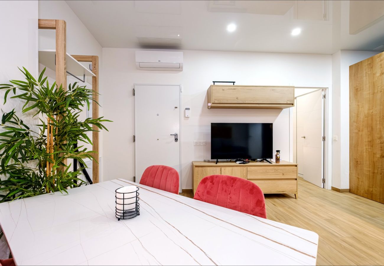 Apartment in Torrevieja - ID99