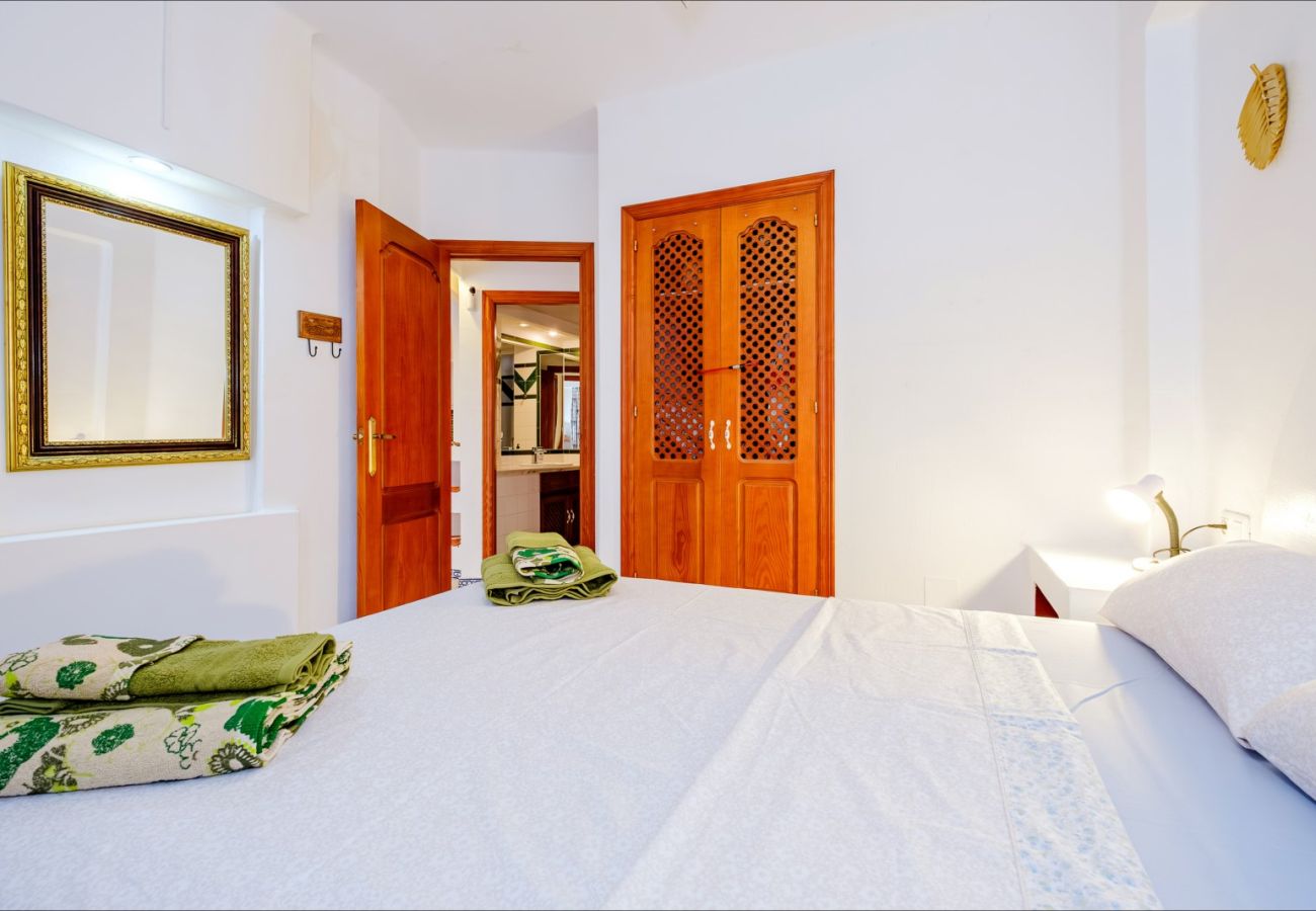 Apartment in Torrevieja - ID87