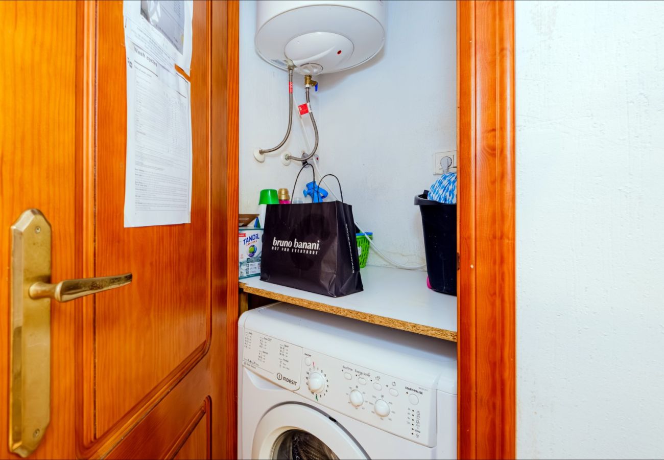 Apartment in Torrevieja - ID87