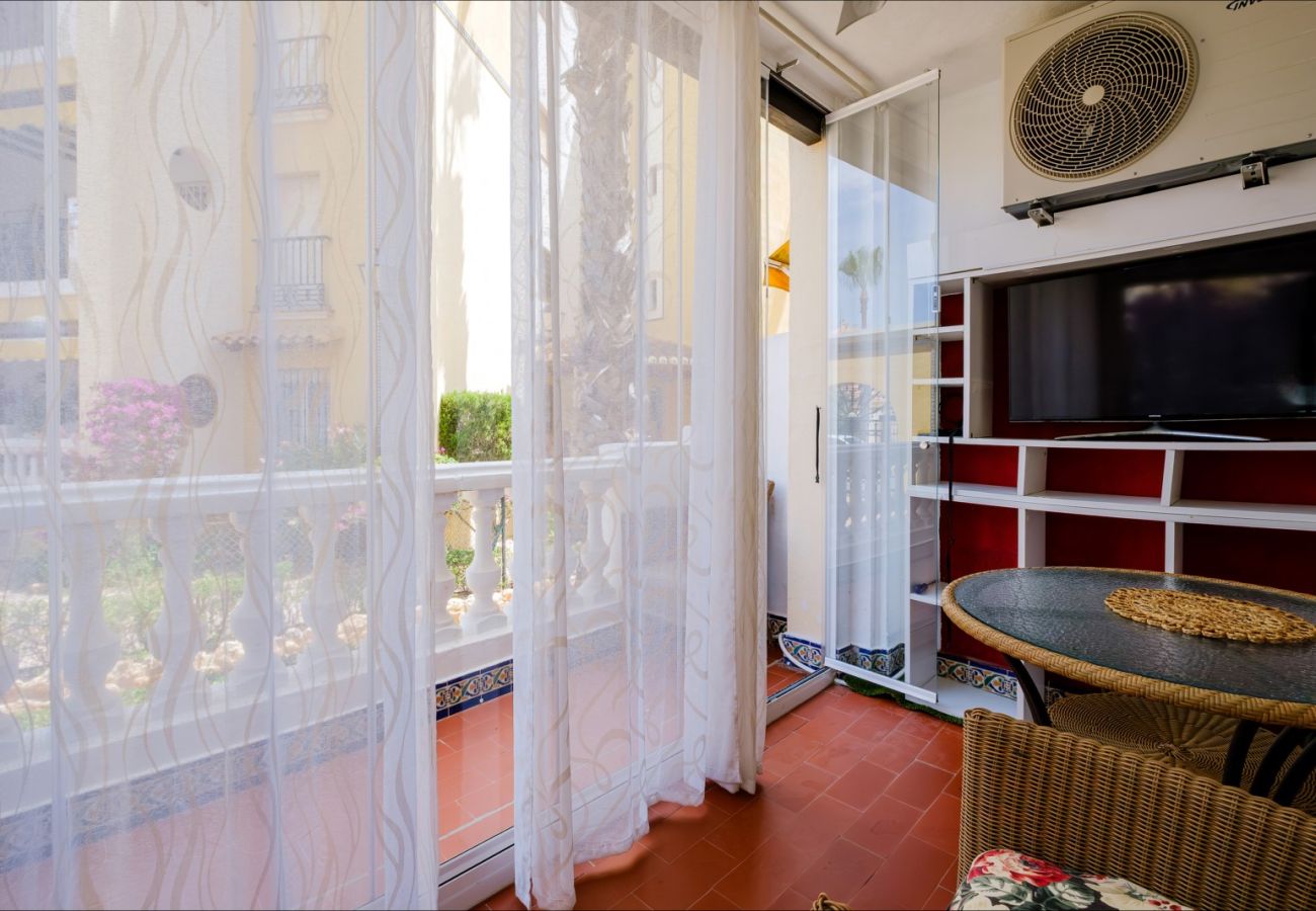 Apartment in Torrevieja - ID87