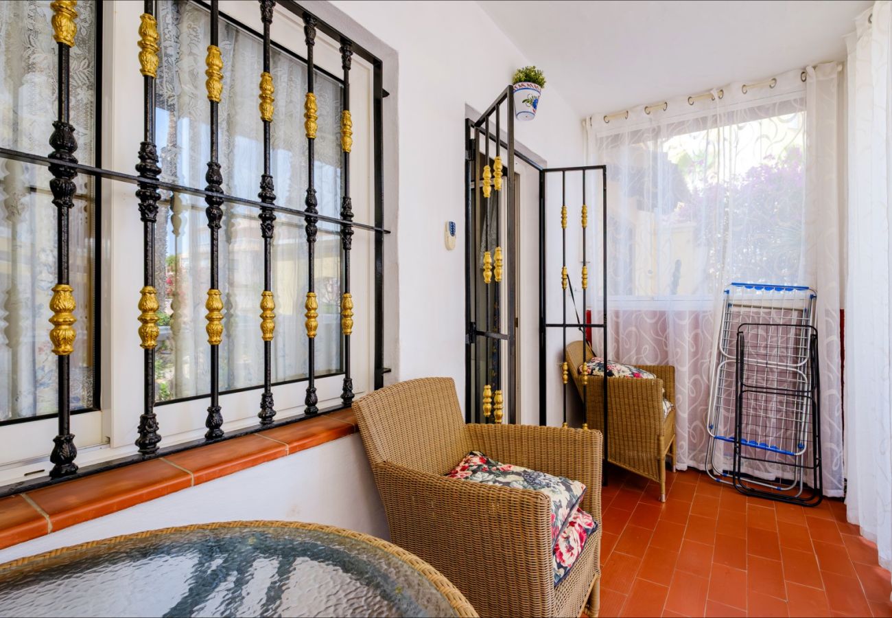 Apartment in Torrevieja - ID87