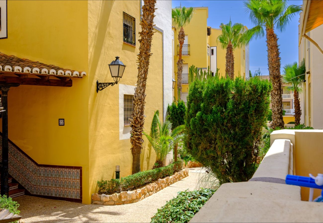 Apartment in Torrevieja - ID87