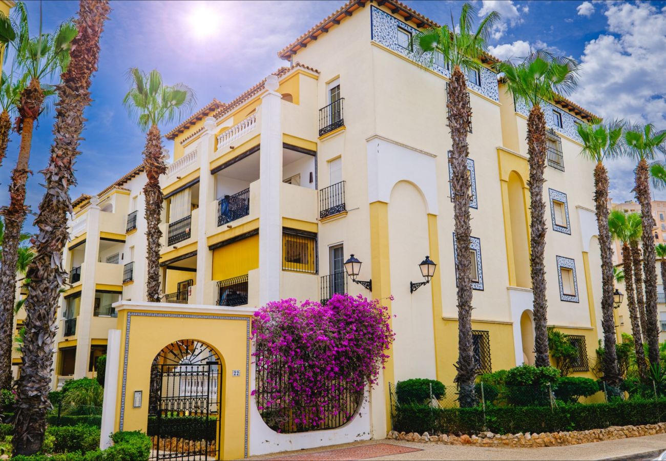 Apartment in Torrevieja - ID87