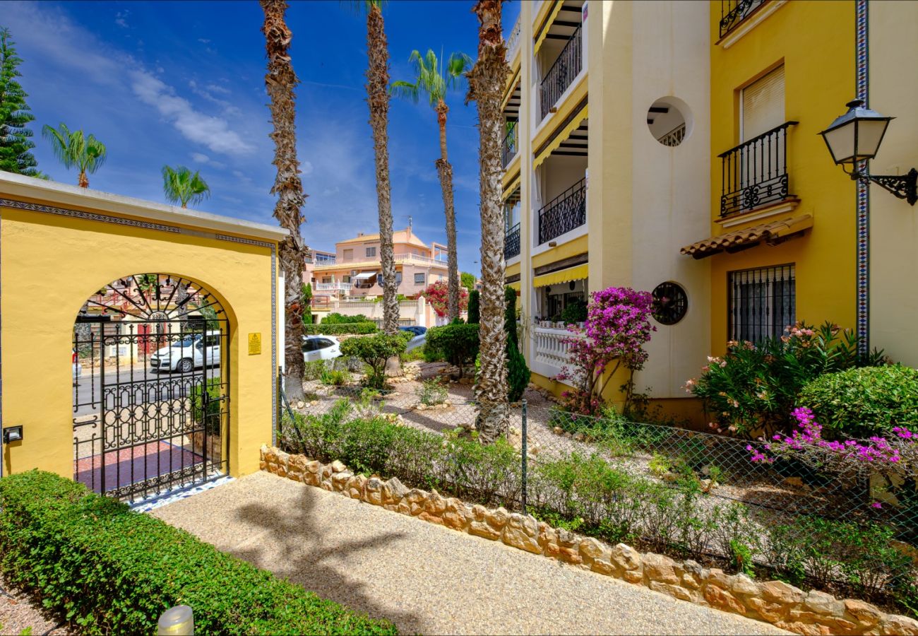 Apartment in Torrevieja - ID87