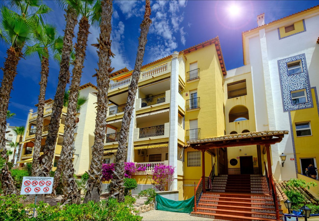 Apartment in Torrevieja - ID87