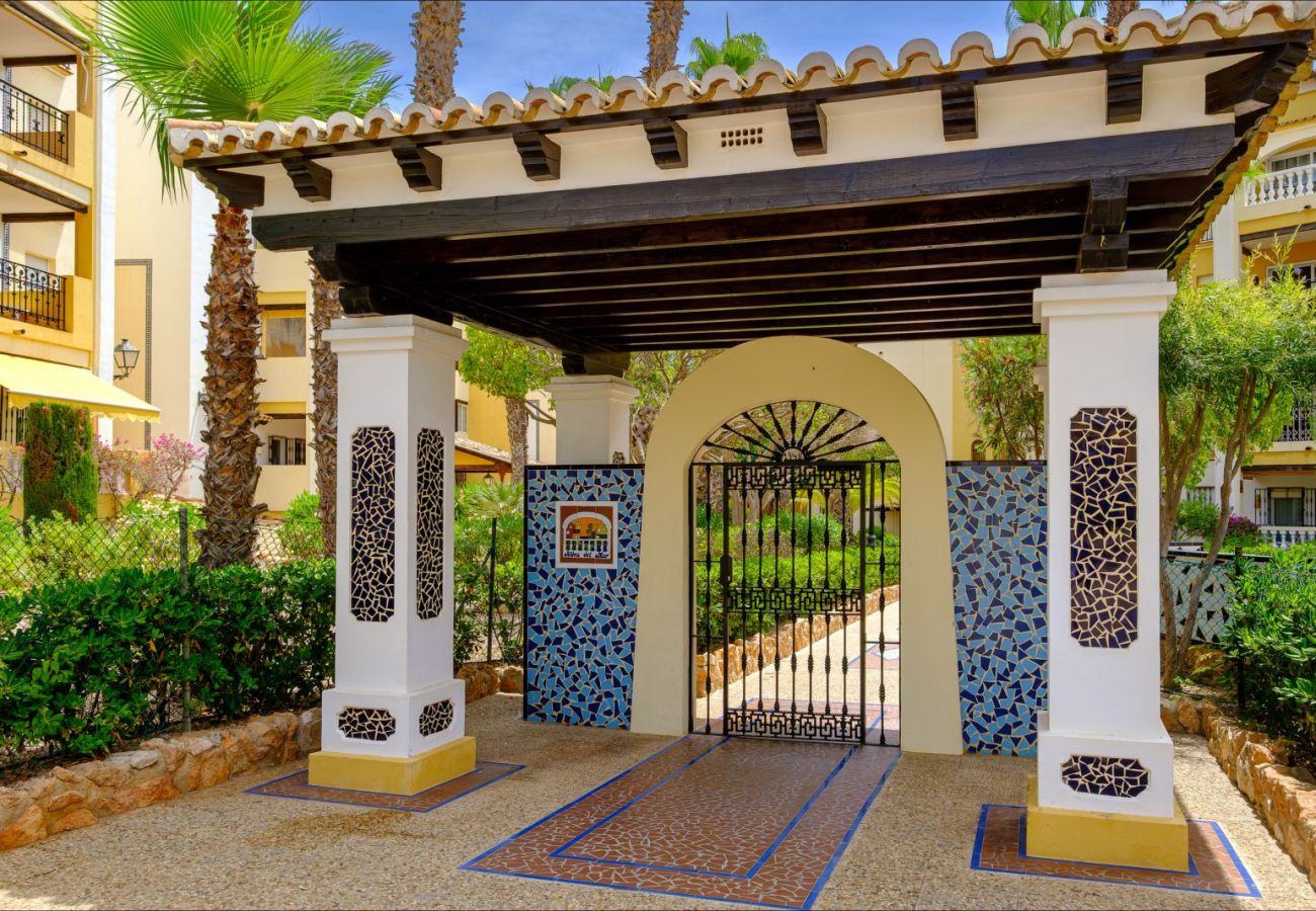 Apartment in Torrevieja - ID87