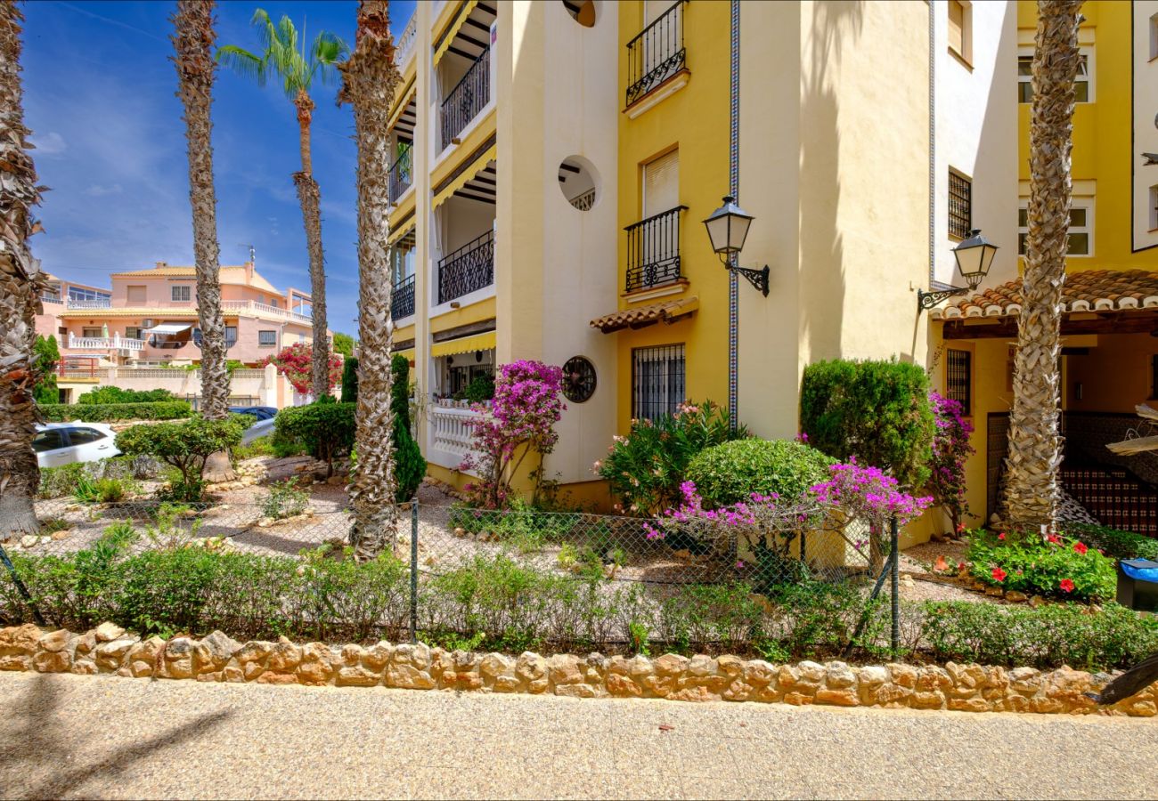Apartment in Torrevieja - ID87