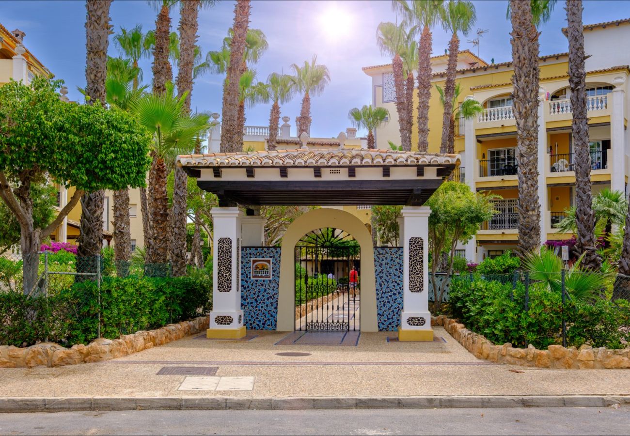 Apartment in Torrevieja - ID87