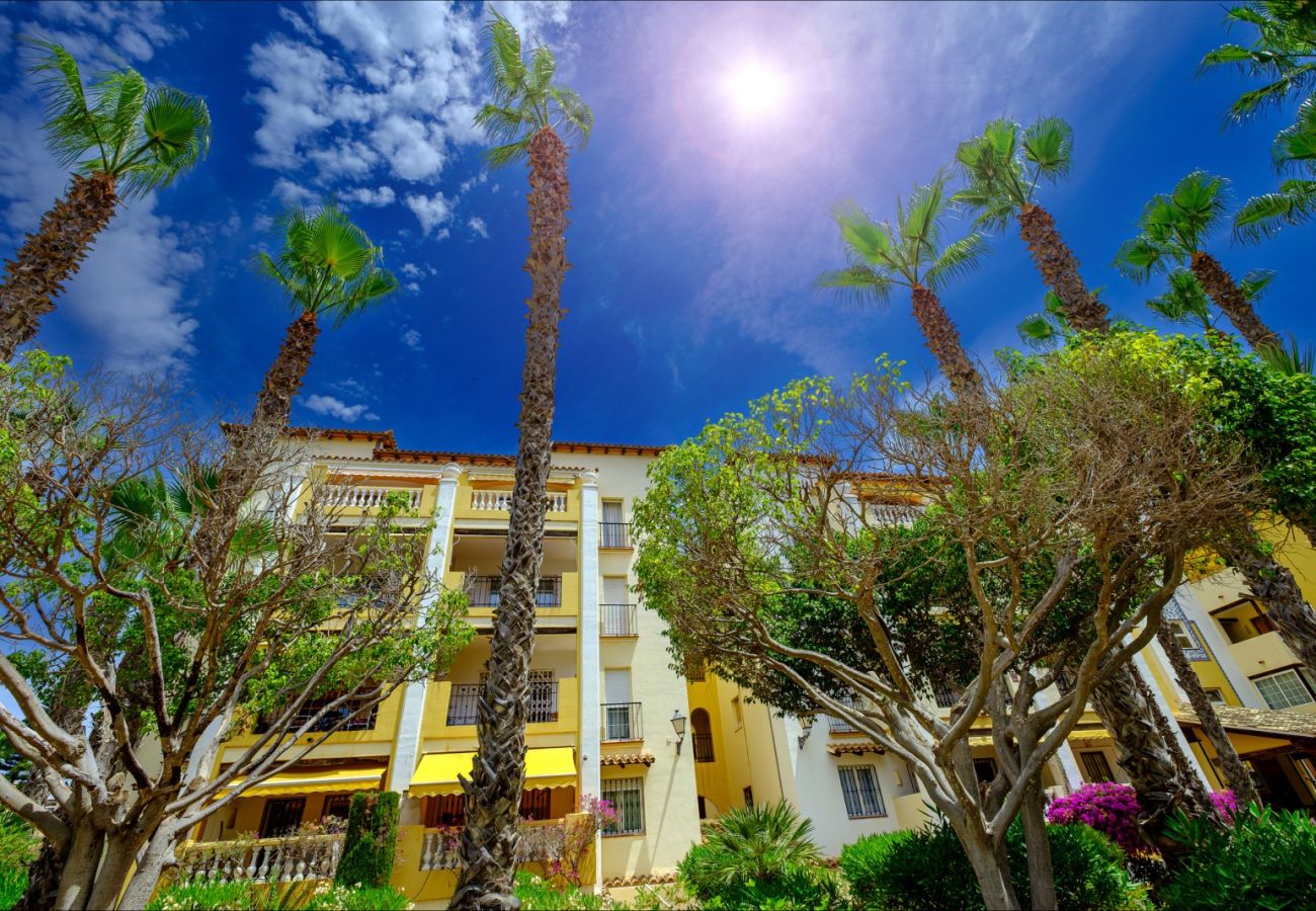 Apartment in Torrevieja - ID87