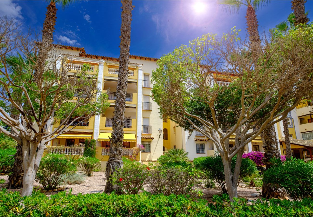Apartment in Torrevieja - ID87
