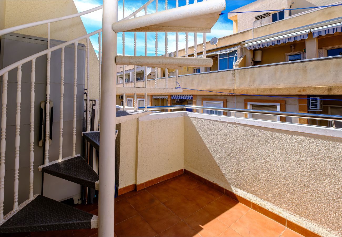 Apartment in Torrevieja - ID121