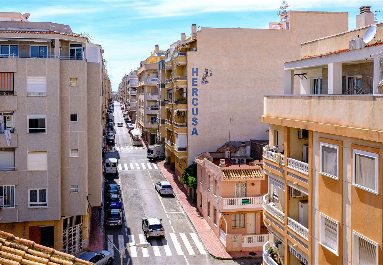 Apartment in Torrevieja - ID121