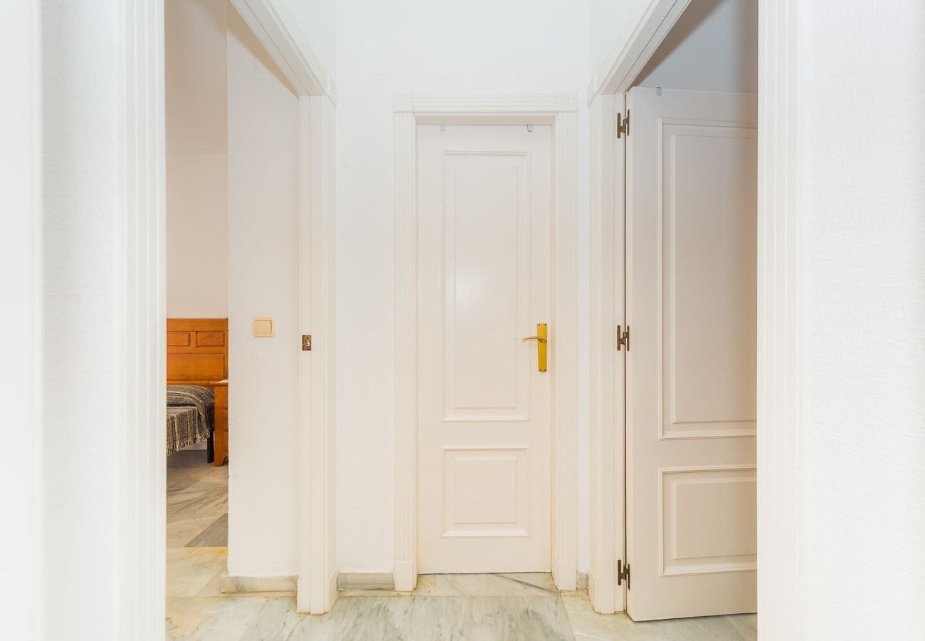 Apartment in Torrevieja - ID371