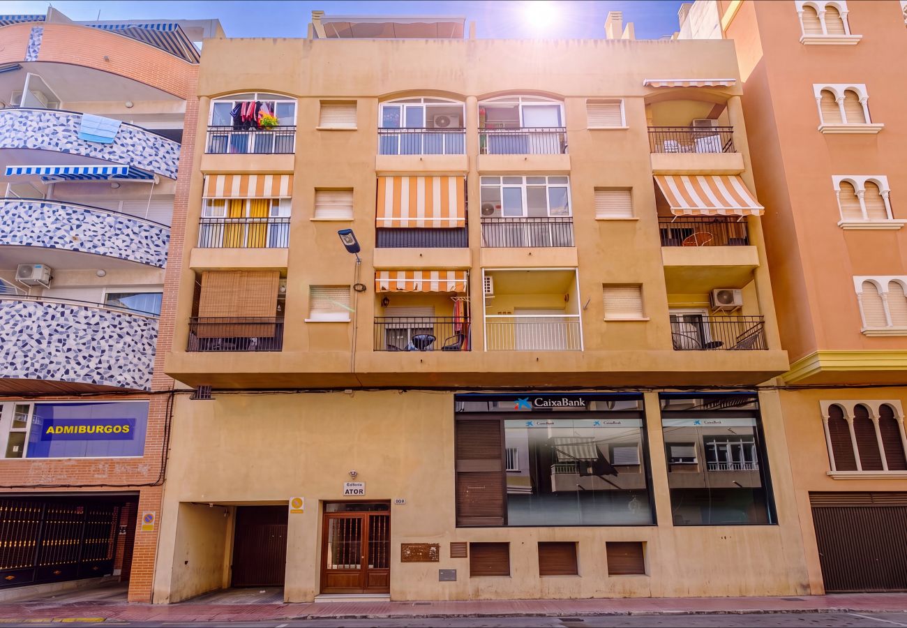 Apartment in Torrevieja - ID153