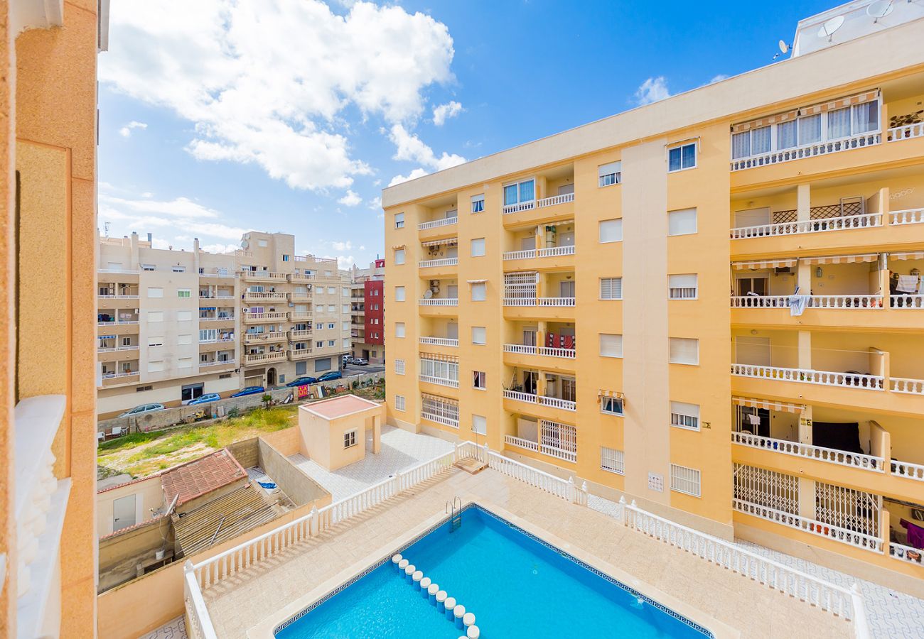 Apartment in Torrevieja - ID149