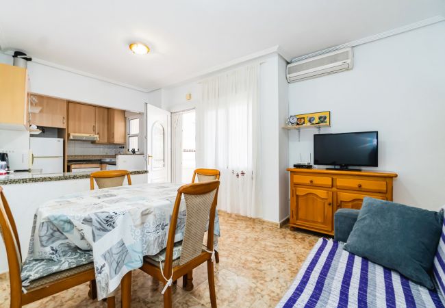 Apartment in Torrevieja - ID110