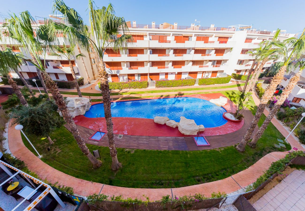 Apartment in Torrevieja - ID43