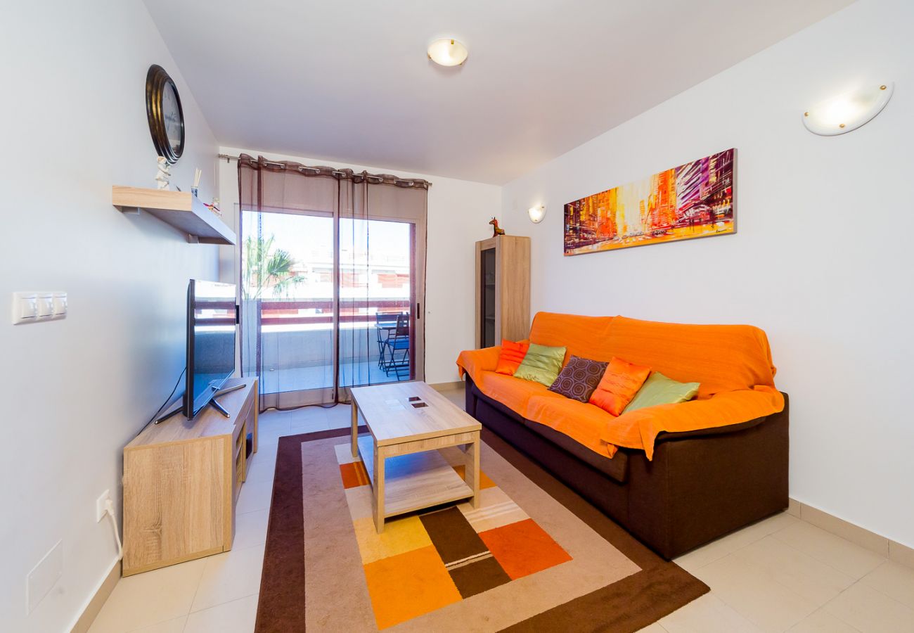 Apartment in Torrevieja - ID43