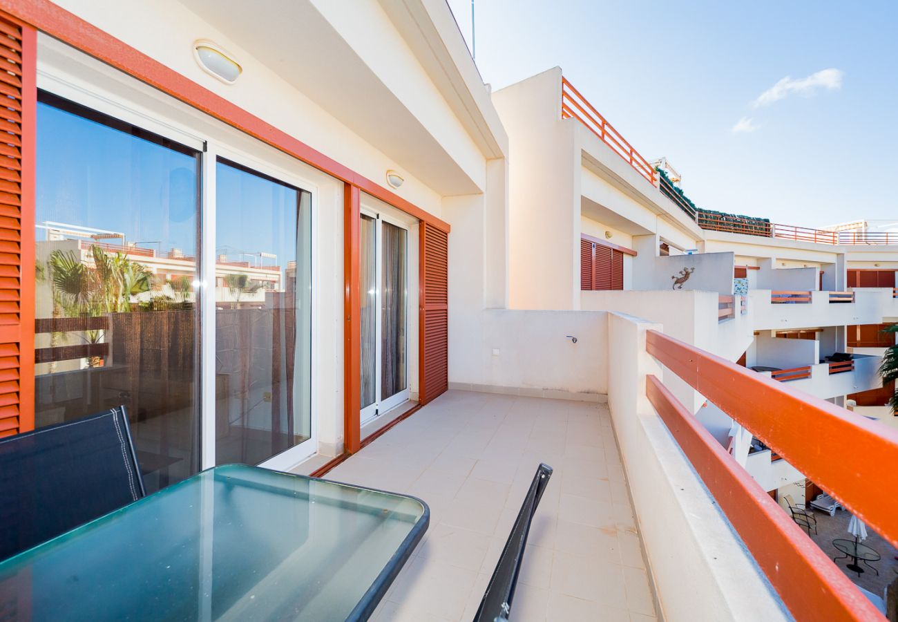 Apartment in Torrevieja - ID43