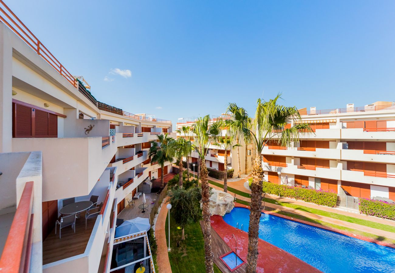 Apartment in Torrevieja - ID43