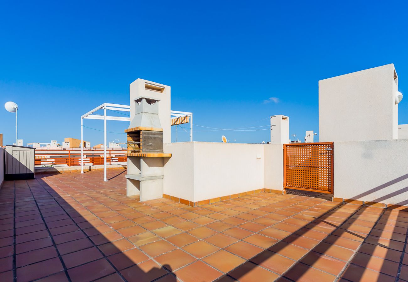 Apartment in Torrevieja - ID43