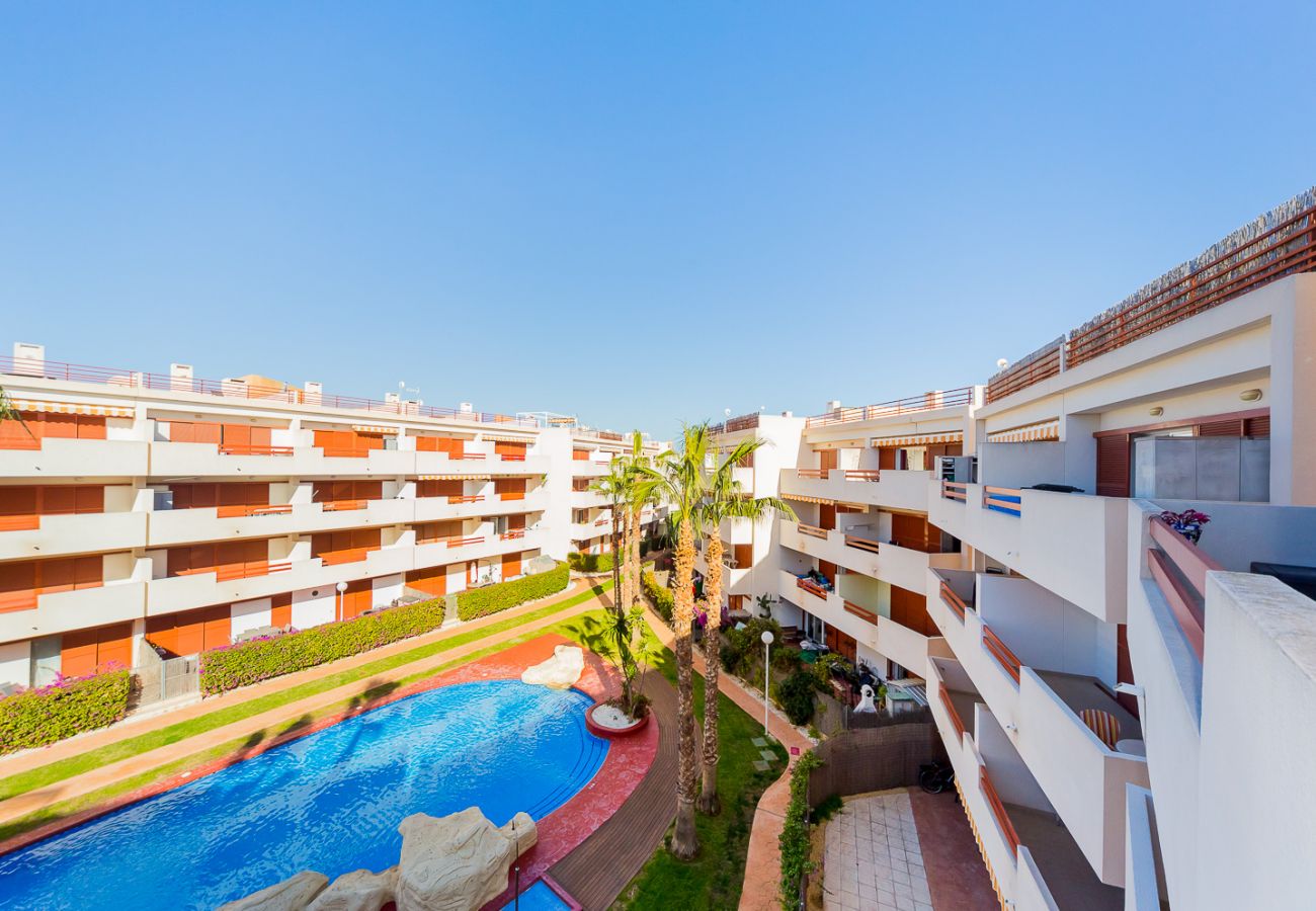 Apartment in Torrevieja - ID43