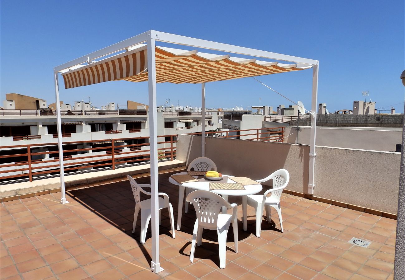 Apartment in Torrevieja - ID43