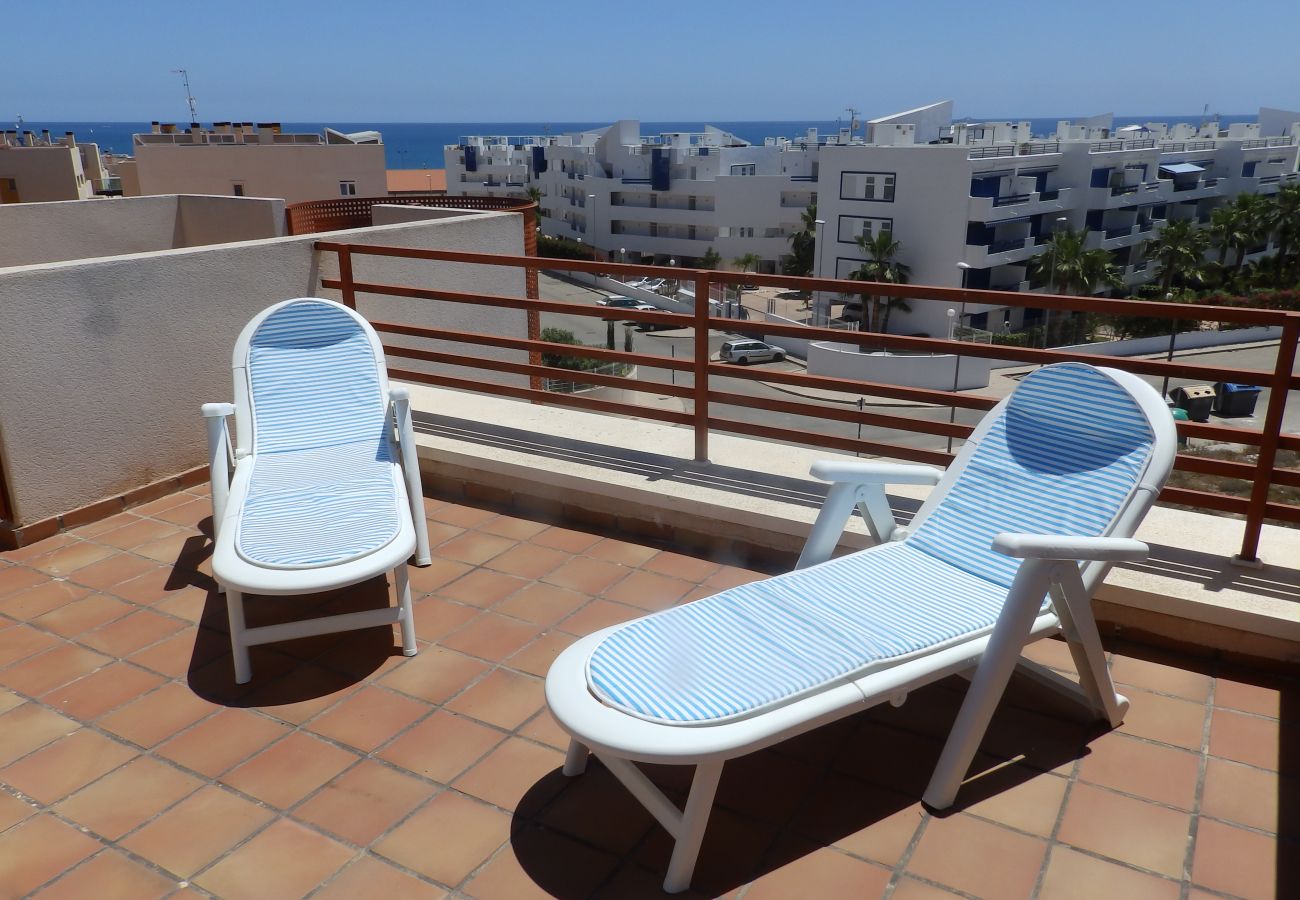 Apartment in Torrevieja - ID43