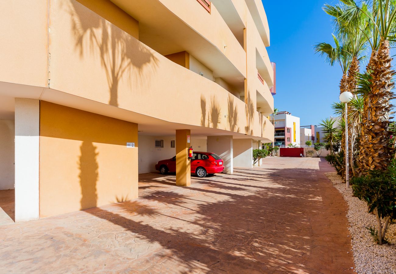 Apartment in Torrevieja - ID43