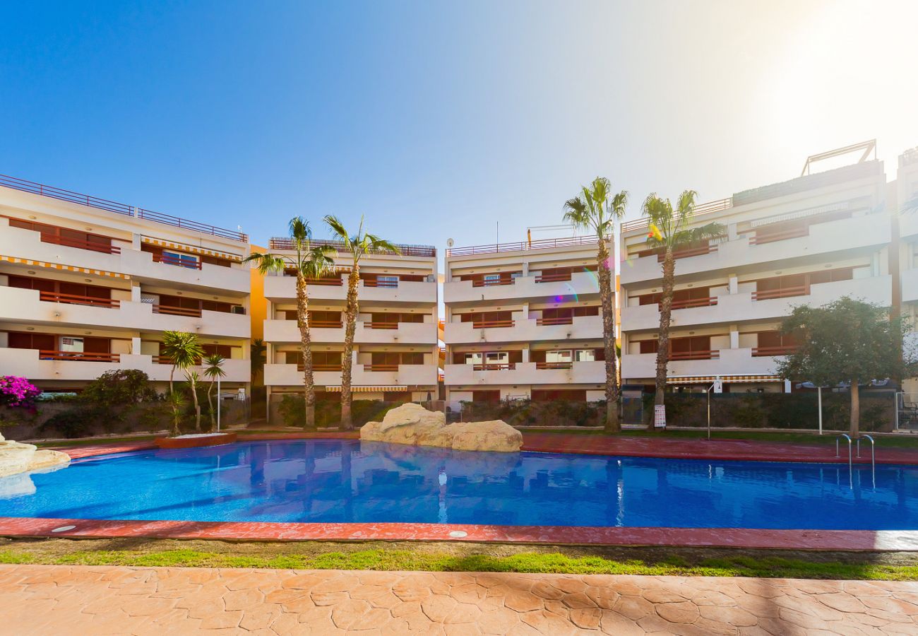 Apartment in Torrevieja - ID43