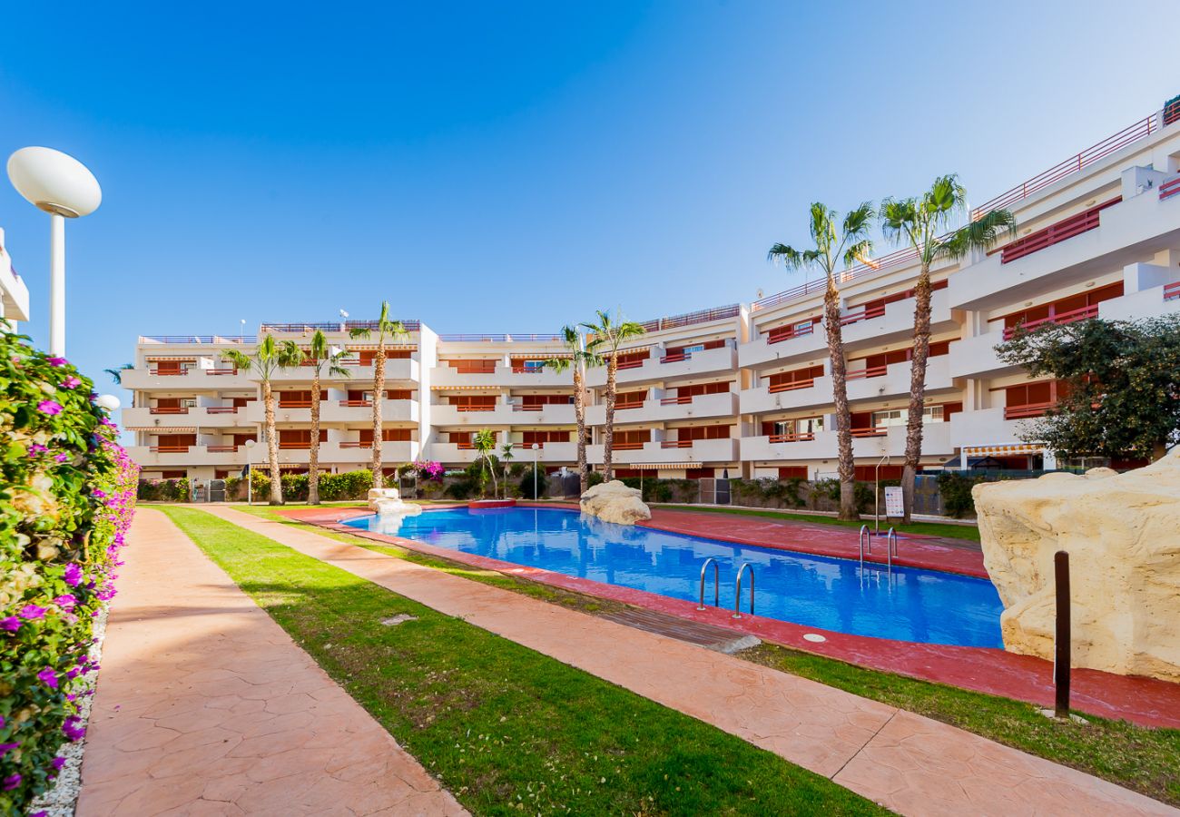 Apartment in Torrevieja - ID43