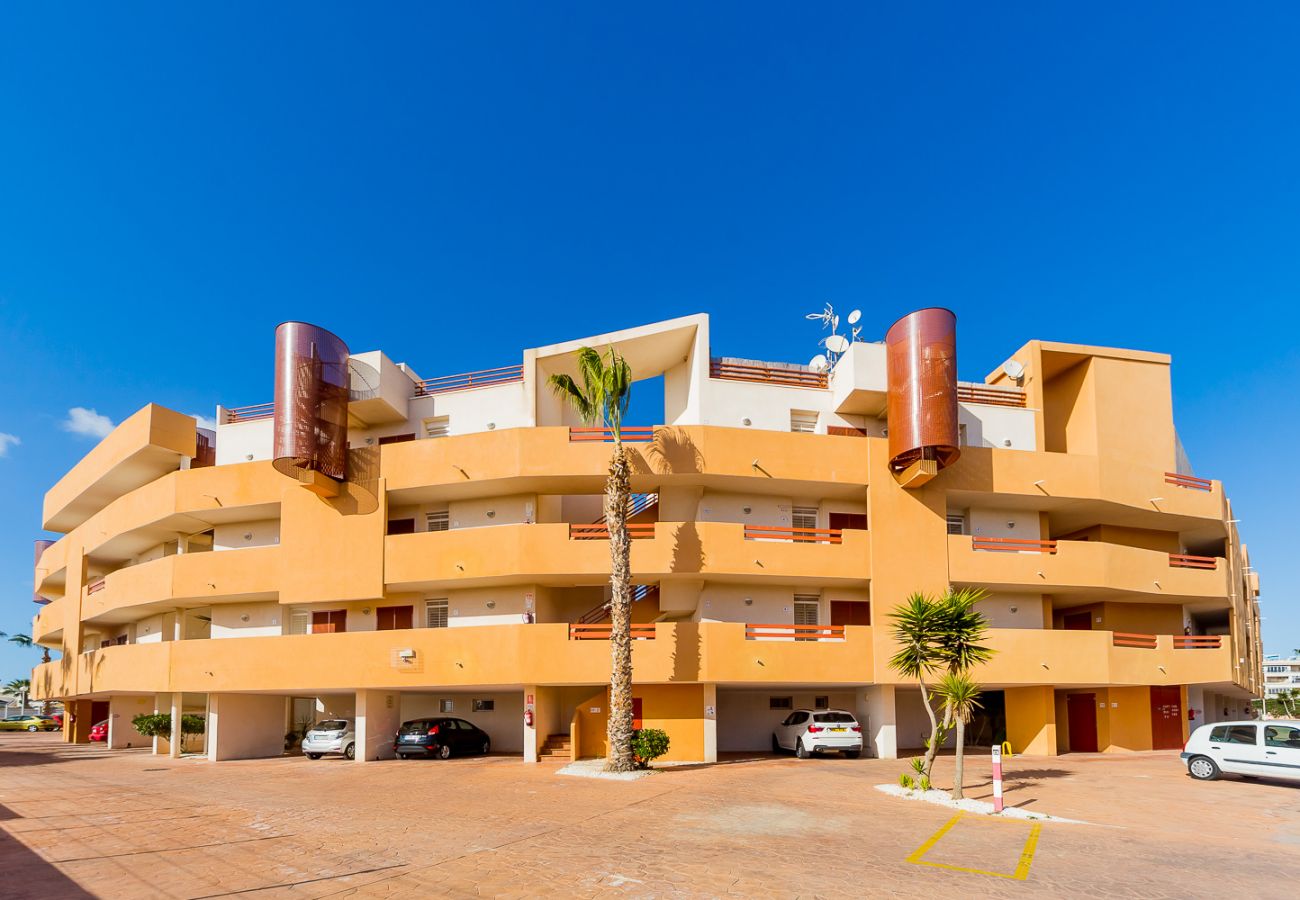 Apartment in Torrevieja - ID43