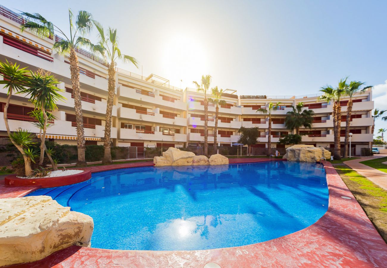 Apartment in Torrevieja - ID43