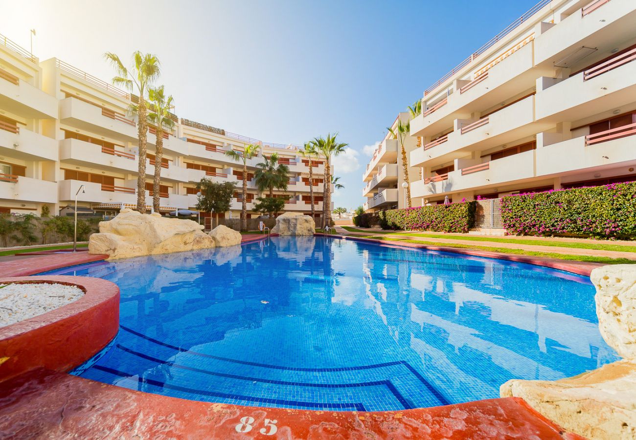 Apartment in Torrevieja - ID43